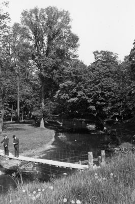 The Swinging Bridge crossing the Sixteen Mile Creek at Milton.