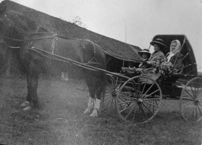 Three women in buggy