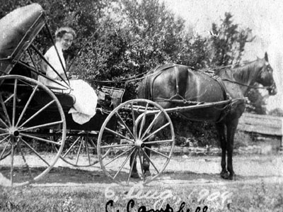 Miss C. Campbell in horse and buggy