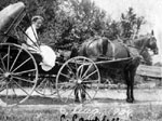 Miss C. Campbell in horse and buggy