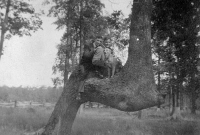 Two men and dog perched on trunk of tree