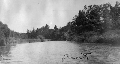 Creek at Bronte