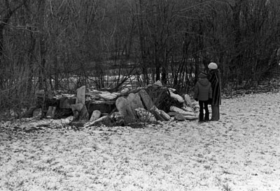 Pioneer cemetery, Bronte Street, Milton, prior to restoration.