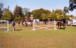 Equestrian Event, Milton Fairgrounds