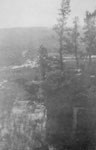 View of trees and mountains