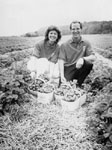 Laura and John Hughes.   Springridge Farm.