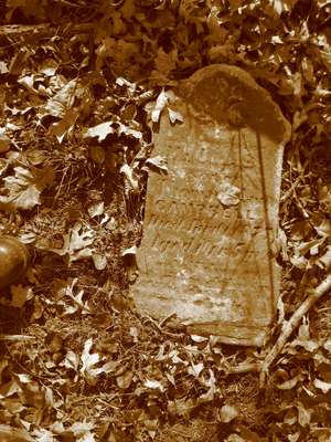 Grave marker at De Forest Cemetery