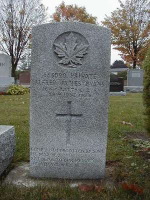 CWGC marker at the grave of Alfred James Evans, 1895-1925