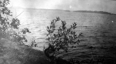 View of lake from Hamill's Point, Muskoka, Ontario