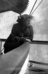 Young lady leaning on rail of ship