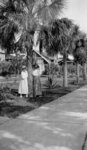 Two women standing beneath a palm tree