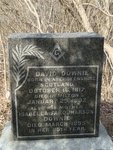 Grave of David Downie at the Milton Bronte Street Pioneer Cemetery.