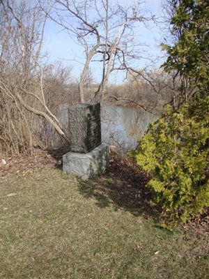 Grave of David Downie at Milton Pioneer Cemetery