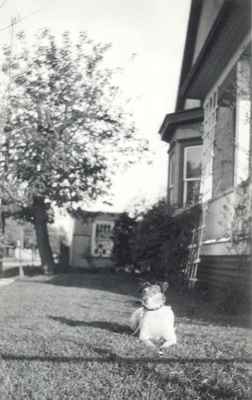 Buster in garden