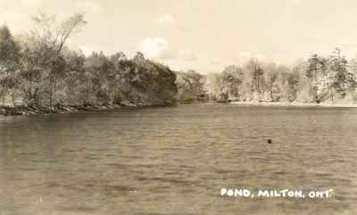 Mill pond. Milton, Ont.