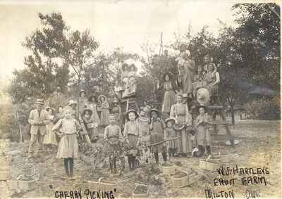 Cherry pickers