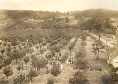 View of the W. J. Hartley fruit farm.