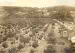 View of the W. J. Hartley fruit farm.