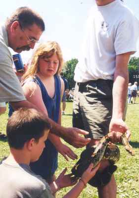 Reptile exhibit on Canada Day, 2000