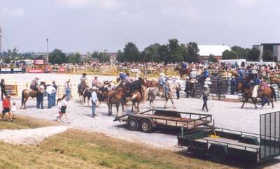 Milton Rodeo