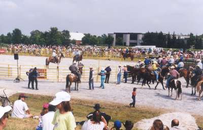 Milton Rodeo