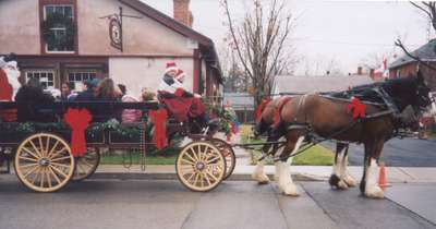 Wagon Rides at Christmas 2004