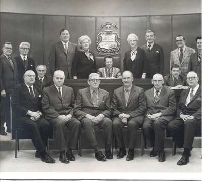 Halton County Council