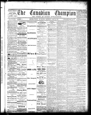 Canadian Champion (Milton, ON), 19 Jun 1873