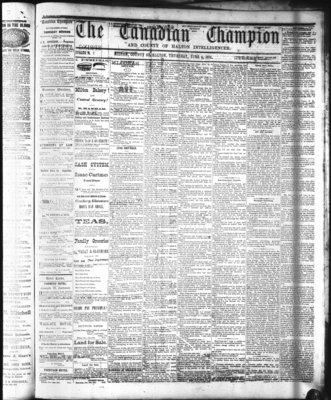 Canadian Champion (Milton, ON), 4 Jun 1874