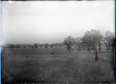 Scene from Cleary's fence. Young's Farm