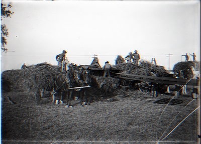 Hay Wagon and Workers