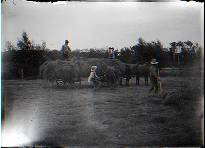 Loading Hay