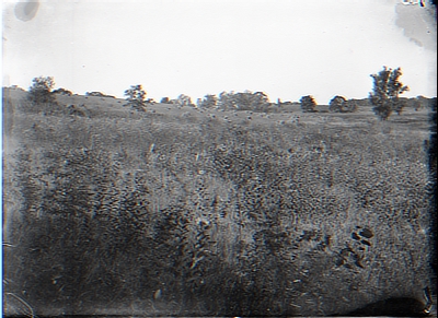 Field with Haystacks in the Distance