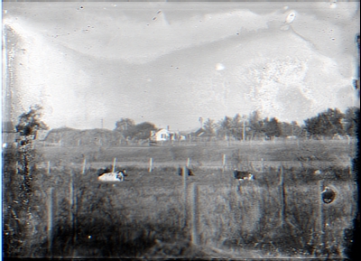 Landscape View of Farm Buildings & House