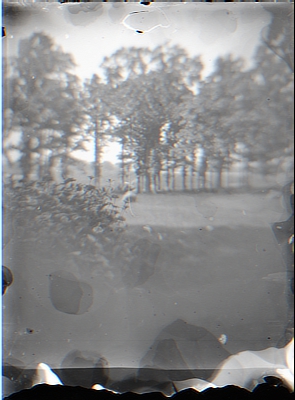 Faded View of Woods & Pasture