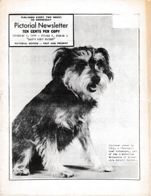 The Pictorial Newsletter: November 6, 1963