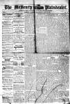 McHenry Plaindealer (McHenry, IL), 10 May 1876