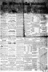 McHenry Plaindealer (McHenry, IL), 2 Aug 1876