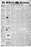 McHenry Plaindealer (McHenry, IL), 17 Jan 1877