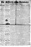 McHenry Plaindealer (McHenry, IL), 8 Aug 1877