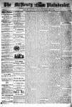 McHenry Plaindealer (McHenry, IL), 13 Feb 1878