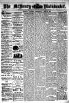 McHenry Plaindealer (McHenry, IL), 10 Apr 1878