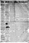 McHenry Plaindealer (McHenry, IL), 10 Jul 1878