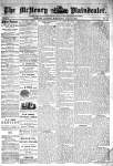 McHenry Plaindealer (McHenry, IL), 17 Jul 1878