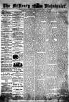 McHenry Plaindealer (McHenry, IL), 24 Jul 1878