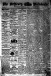 McHenry Plaindealer (McHenry, IL), 29 Jan 1879