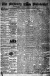 McHenry Plaindealer (McHenry, IL), 9 Jul 1879