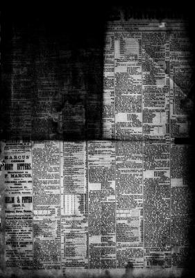 McHenry Plaindealer (McHenry, IL), 7 Jan 1885