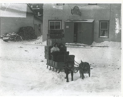 Traîneau à chiens / Dogsledding