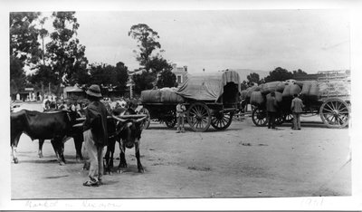 Market on Hexagon, 1901